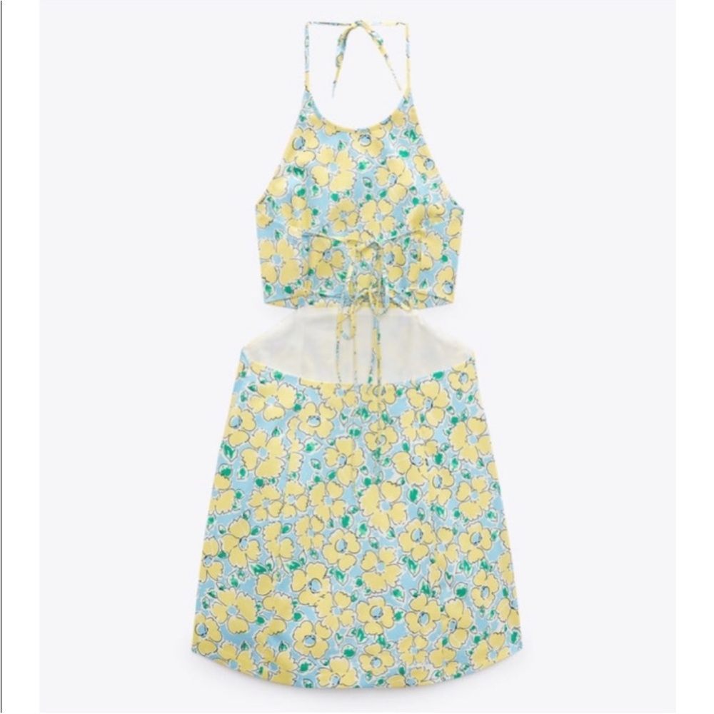 Zara Floral Print Cut Out Dress - Picture 15 of 15